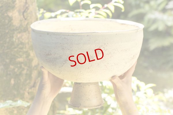 画像12: 大澤哲哉　台付き鉢 白