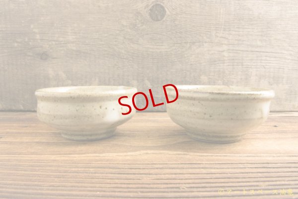 画像5: 寺村光輔　林檎灰釉　片口小鉢