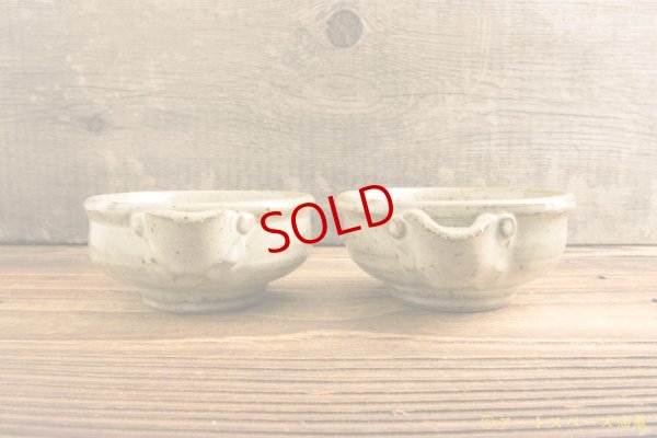 画像4: 寺村光輔　林檎灰釉　片口小鉢