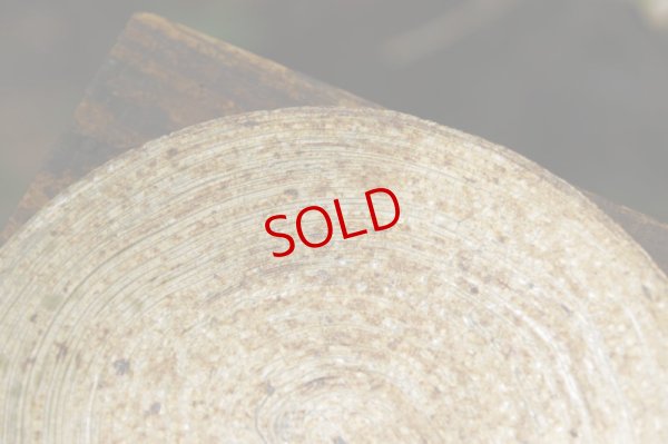 画像5:  馬渡新平　刷毛目黄　皿６寸