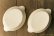 画像5: 八木橋昇　耐熱　白　楕円グラタン皿