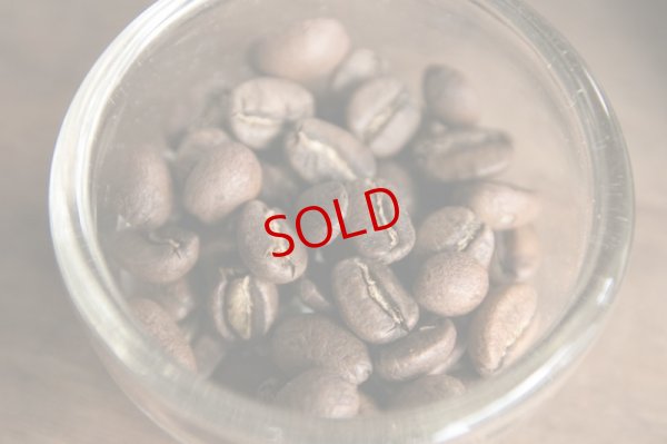 画像2: aoma coffee「FRANCISCO ALVARADO -IH90- / Honduras」珈琲豆100g【レターパック対応商品】