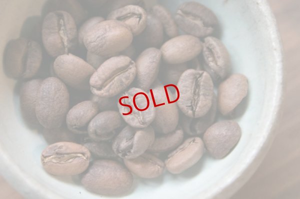 画像3: AKITO COFFEE「Andres Guaca アンドレス　グアカ」Colombia　珈琲豆100g【レターパック対応商品】