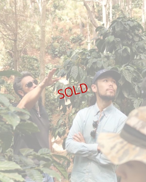 画像3: 【珈琲のための器展 ワークショップ受付2/24（金）】from 京都 coyote 門川さんによる夜の珈琲教室「エルサルバドルナイト」