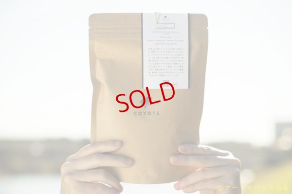 画像5: 【珈琲のための器展 ワークショップ受付2/24（金）】from 京都 coyote 門川さんによる夜の珈琲教室「エルサルバドルナイト」