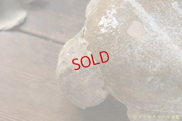 画像9: 増田光 ラッコ皿