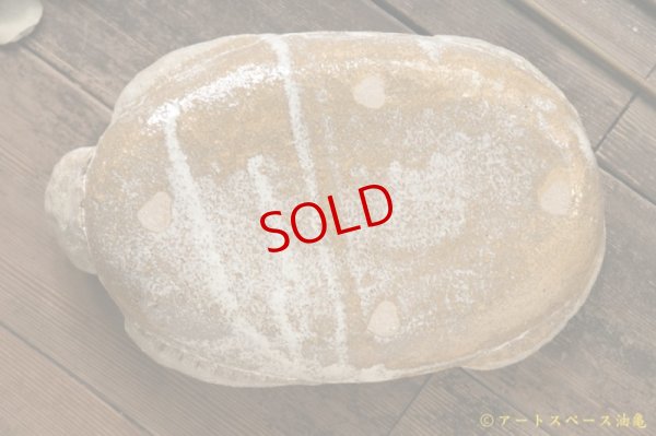 画像12: 増田光 ラッコ皿