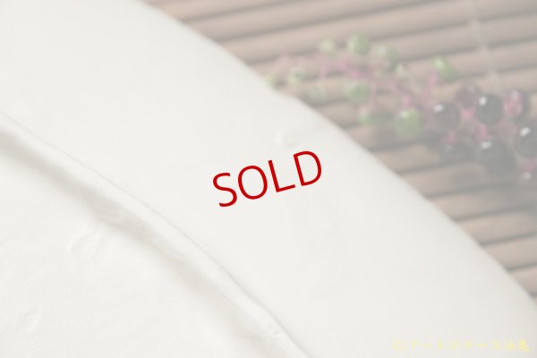 画像8: 増田光　だえん動物大皿