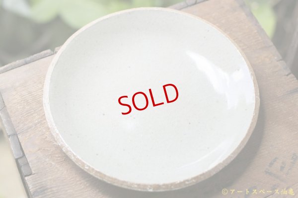 画像4: 寺村光輔　泥並釉　８寸丸皿（薪）