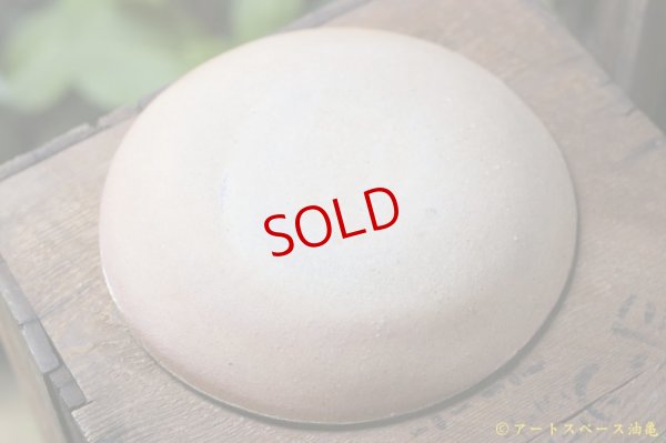 画像5: 寺村光輔　泥並釉　８寸丸皿（薪）