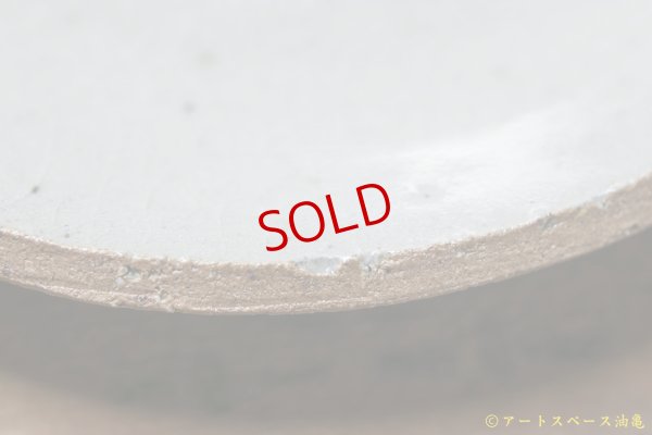 画像6: 寺村光輔　泥並釉　８寸丸皿（薪）