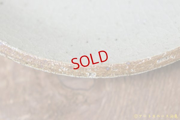 画像7: 寺村光輔　泥並釉　８寸丸皿（薪）