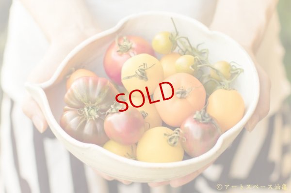 画像4: 古谷浩一　鉄散　錦斗雲　大【油亀限定】【アソート作品】