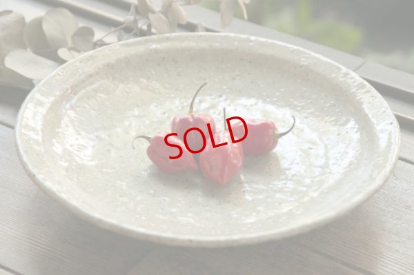 画像2: 八田亨 ブドウ灰リム皿 M