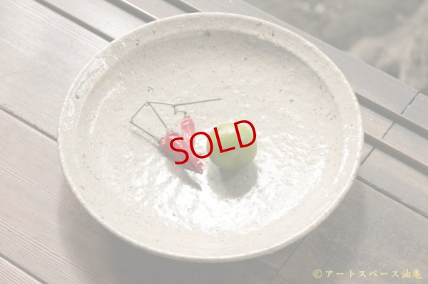 画像2: 八田亨 ブドウ灰リム皿  L 