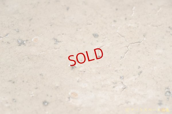 画像4: 八田亨 白掛リム皿 L