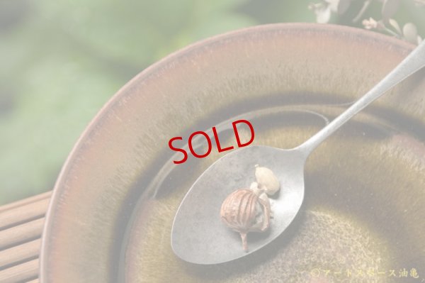 画像8: 北側雄一　窯変蕎麦釉　７寸リム皿