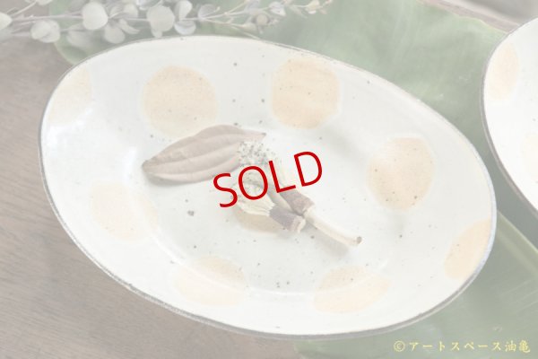 画像4: 末石昌士　カレー皿　ドット　【アソート作品】