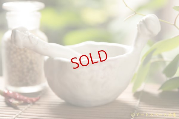 画像5: タナベヨシミ　スパイスマン