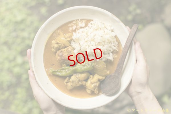 画像12: カレー８時間TV的スパイスセット　【基本のチキンカレー】