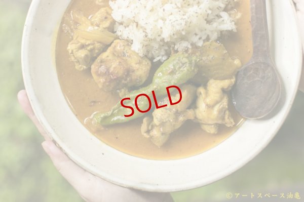 画像8: カレー８時間TV的スパイスセット　【基本のチキンカレー】