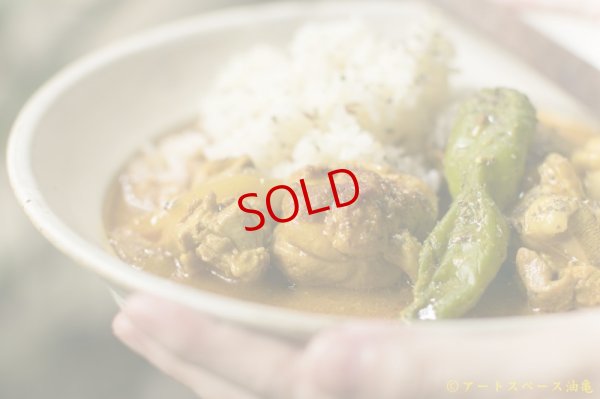 画像11: カレー８時間TV的スパイスセット　【基本のチキンカレー】