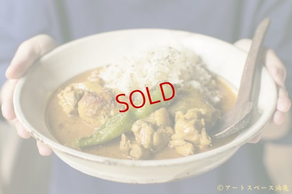 画像2: カレー８時間TV的スパイスセット　【基本のチキンカレー】