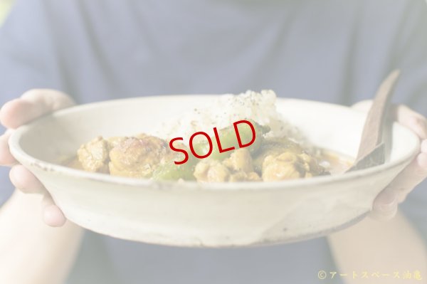 画像5: カレー８時間TV的スパイスセット　【基本のチキンカレー】