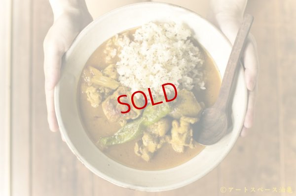 画像13: カレー８時間TV的スパイスセット　【基本のチキンカレー】