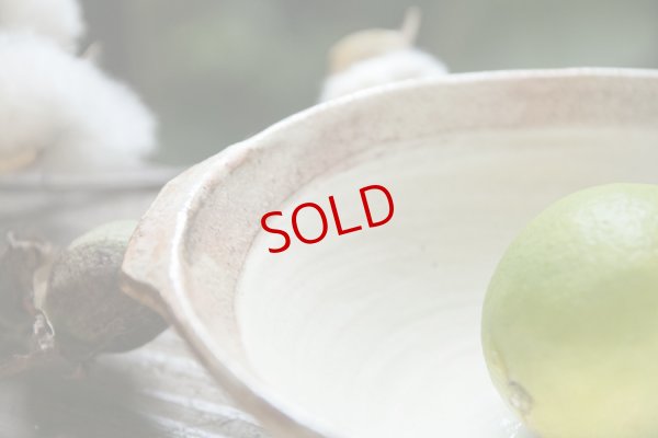 画像5: 古谷浩一　渕荒粉引　耳付楕円深鉢【アソート作品】