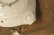 画像10: 工藤和彦　白樺ホワイト平片口７寸鉢