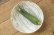 画像2: 工藤和彦「白樺刷毛目　たわみ８寸鉢」