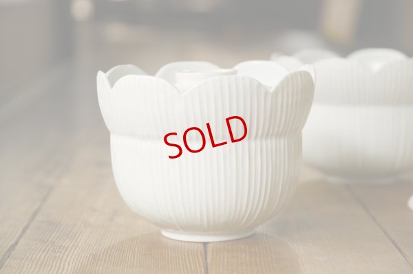 画像7: 小倉夏樹　白磁　鎬輪花丼 【アソート作品】