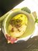 画像3: 【maai監修】スパイスたまご※ビリヤニランチとセットでのみご注文が可能です。【テイクアウトOK】 (3)