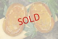 田川亞希　タコカレー皿