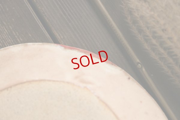 画像9: 栢野紀文 オヴジェ皿