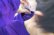 画像12: カレーちゃん家　カレー大好きガール　ロングTee（PURPLE）【レターパック対応商品】