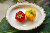江口誠基　彫粉引　楕円深皿【アソート作品】