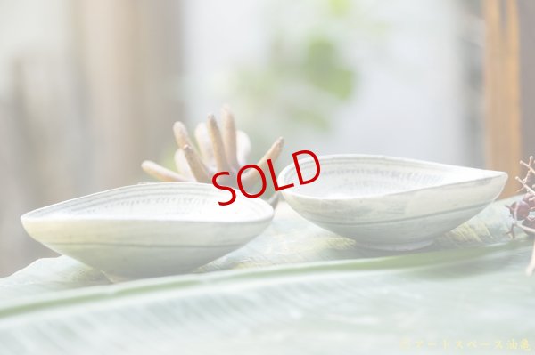 画像4: 江口誠基　三島豆皿