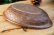 画像6: 江口香澄　アフリカ彫刻　だ円鉢（大）【アソート作品】