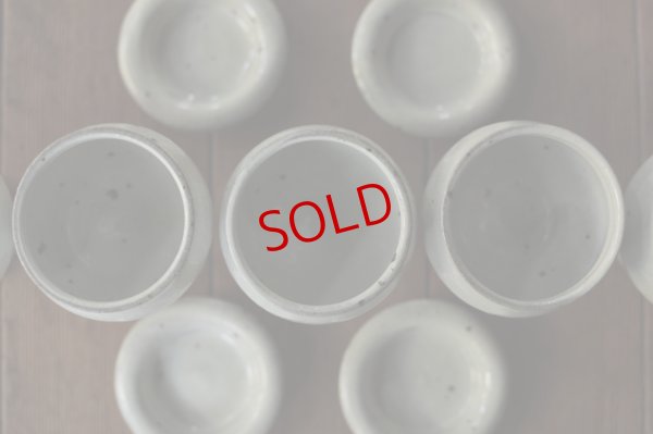 画像13: 古谷浩一　〈油亀限定〉アレキサンドリア　コンポートキャニスター　【アソート作品】