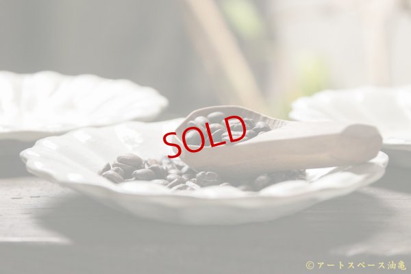 画像3: 古谷浩一　鉄散　輪花深皿　小【アソート作品】