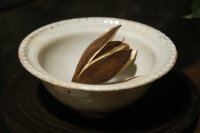 古谷浩一　鉄散　綱手小鉢【アソート作品】