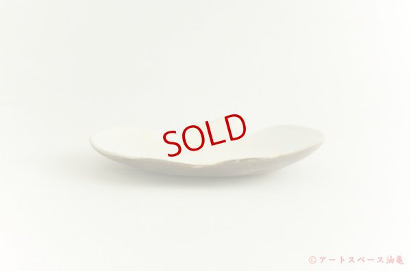 画像6: 古谷浩一　鉄散　りんご皿　大【アソート作品】