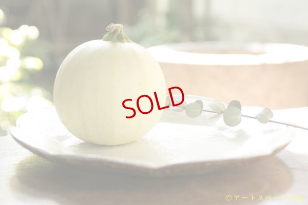 画像6: 古谷浩一　鉄散　輪花皿　中【アソート作品】