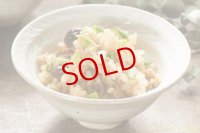 古谷浩一　鉄散　リーフ平めしわん　中【アソート作品】
