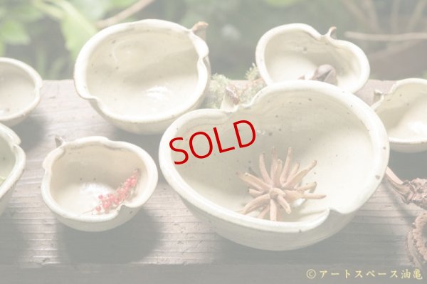 画像11: 古谷浩一　黄灰　マスカットオブアレキサンドリア　ひめりんご鉢【アソート作品】