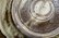 画像7: 古谷浩一　黄灰　マスカットオブアレキサンドリア　彫刻皿　８寸【アソート作品】