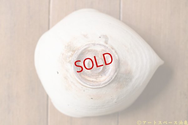 画像18: 古谷浩一　鉄散　錦斗雲　大【油亀限定】【アソート作品】