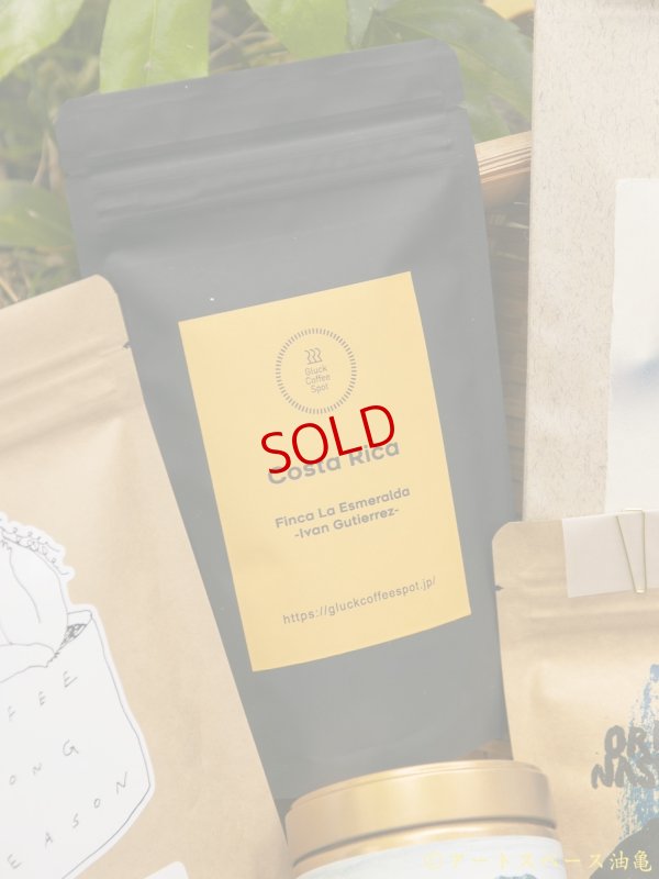 画像1: Gluck Coffee Spot「Costa Rica Finca La Esmeralda」珈琲豆100g【レターパック対応商品】※レターパックでの発送を希望されるお客さまは、備考欄にてご連絡下さい。